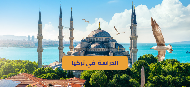 الدراسة في تركيا