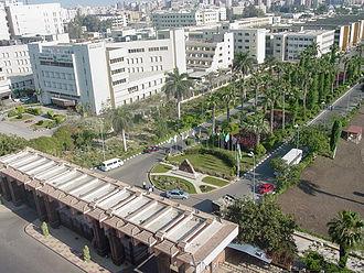 جامعة المنصورة 